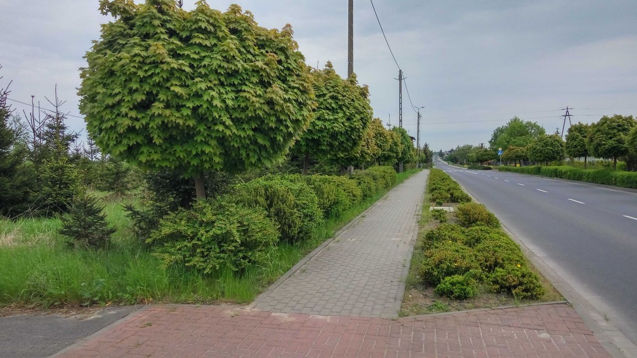 Działka budowlana Wapno, ul. Solna. Zdjęcie 3