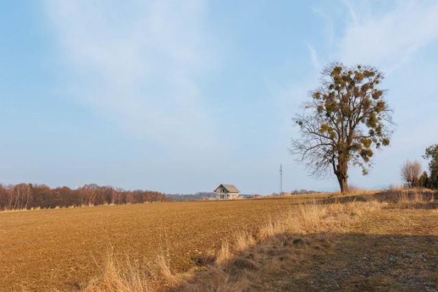 Działka budowlana Międzyrzecze Dolne. Zdjęcie 9