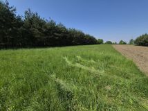 dom wolnostojący, 5 pokoi Strzelce Wielkie. Zdjęcie 4