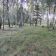 Działka rekreacyjna Kępiaste. Zdjęcie 3
