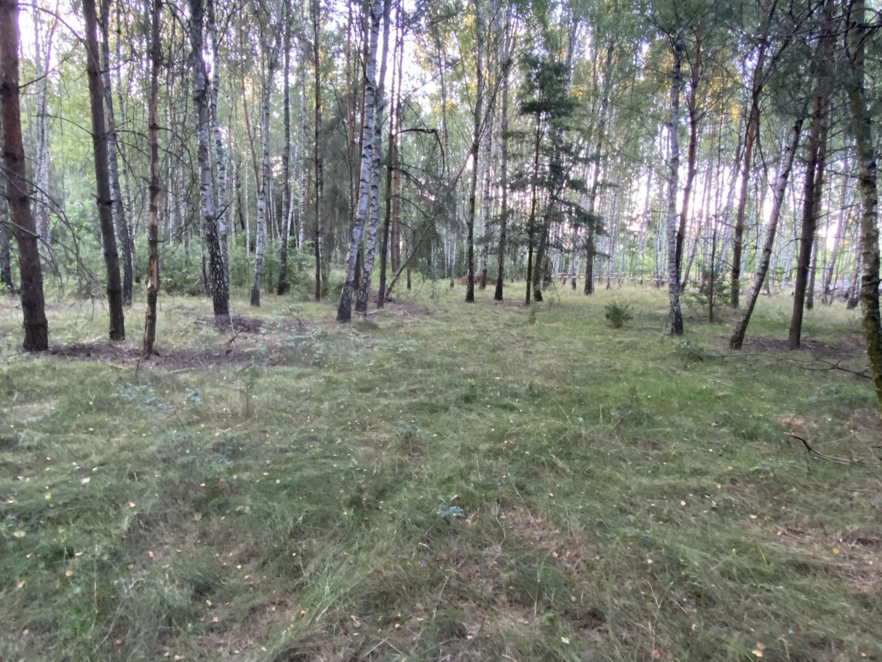 Działka rekreacyjna Kępiaste. Zdjęcie 3