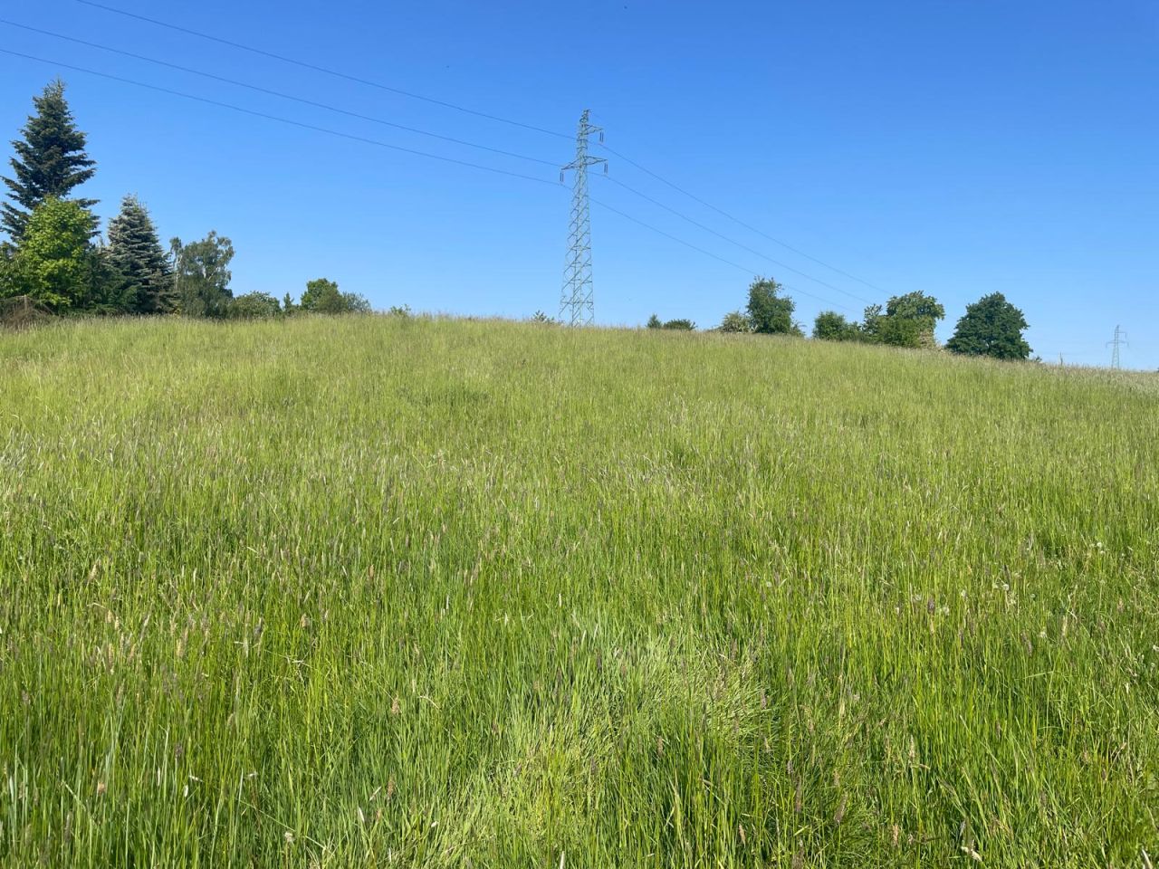 Działka rolna Żerdziny