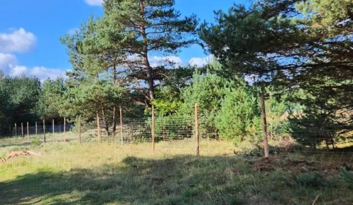 Działka budowlana Ogrodzieniec, ul. Spokojna