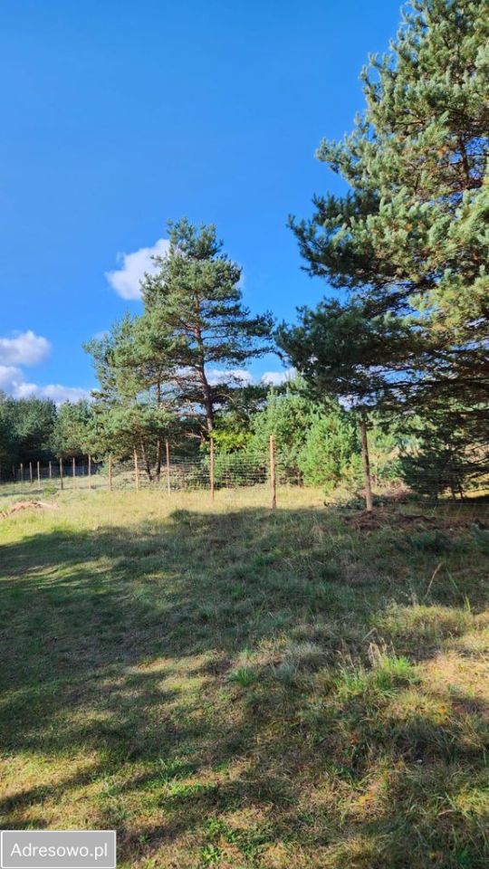 Działka budowlana Ogrodzieniec, ul. Spokojna. Zdjęcie 1