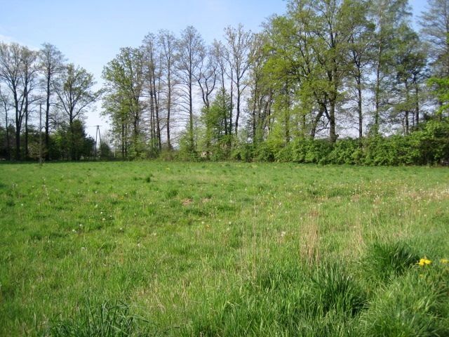 Działka budowlana Kiczyce, ul. Kolejowa. Zdjęcie 1