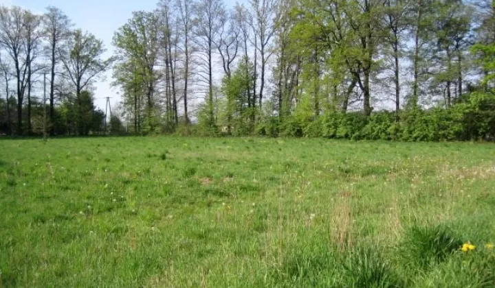 Działka budowlana Kiczyce, ul. Kolejowa