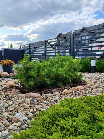 bliźniak, 5 pokoi Czapury, Poranek. Zdjęcie 1