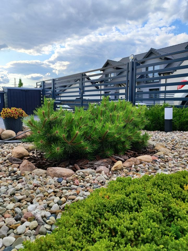 bliźniak, 5 pokoi Czapury, Poranek. Zdjęcie 1