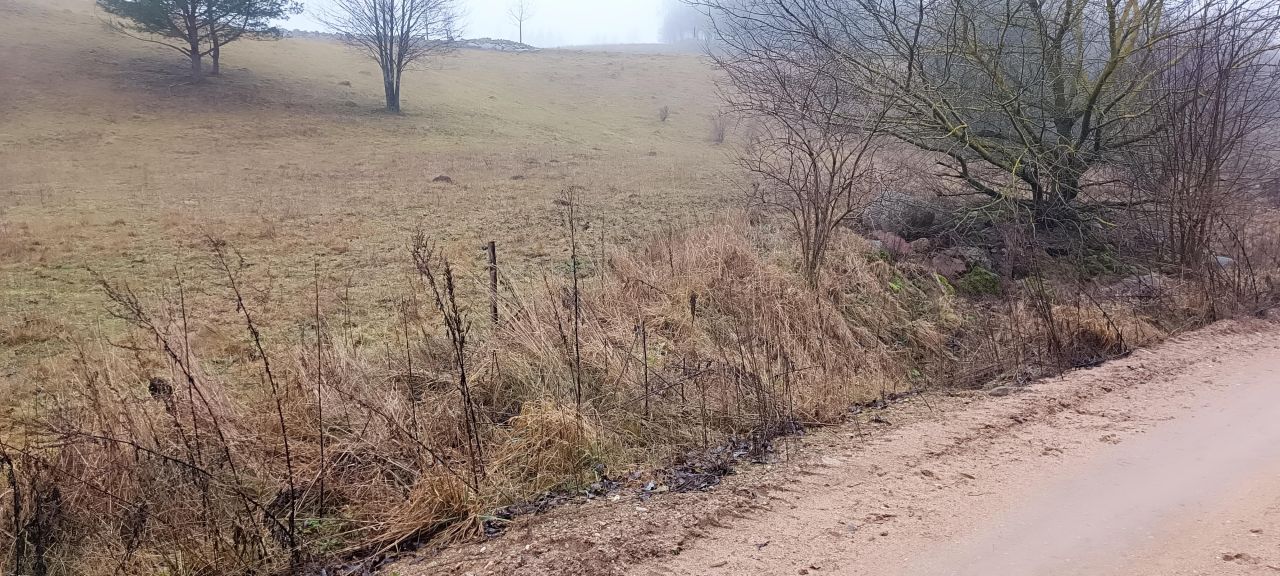 Działka rolno-budowlana Biała Woda, Biała Woda. Zdjęcie 3