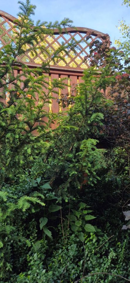 dom wolnostojący, 5 pokoi Sadów Kopce, ul. Powstańców Śląskich. Zdjęcie 74