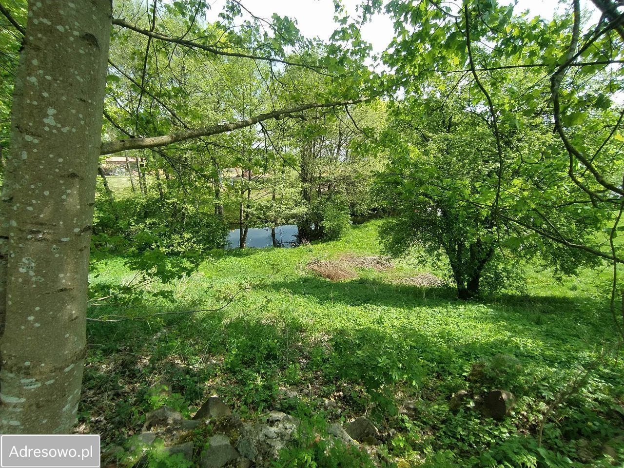 Działka rolno-budowlana Rzepowo. Zdjęcie 5