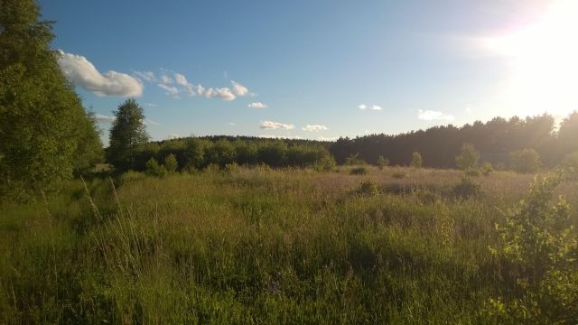 Działka budowlana Pluski, ul. Polna. Zdjęcie 8