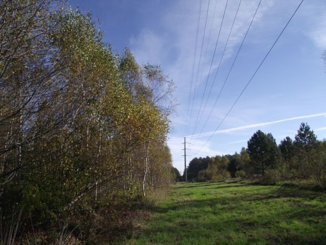 Działka siedliskowa Radomia Orzewo. Zdjęcie 7