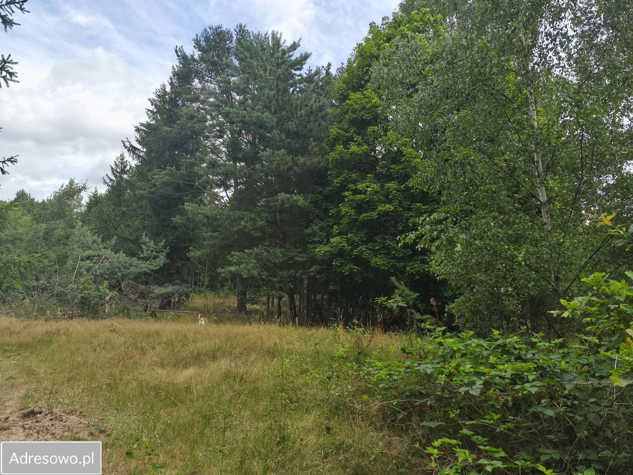 dom wolnostojący Słubica Dobra. Zdjęcie 11