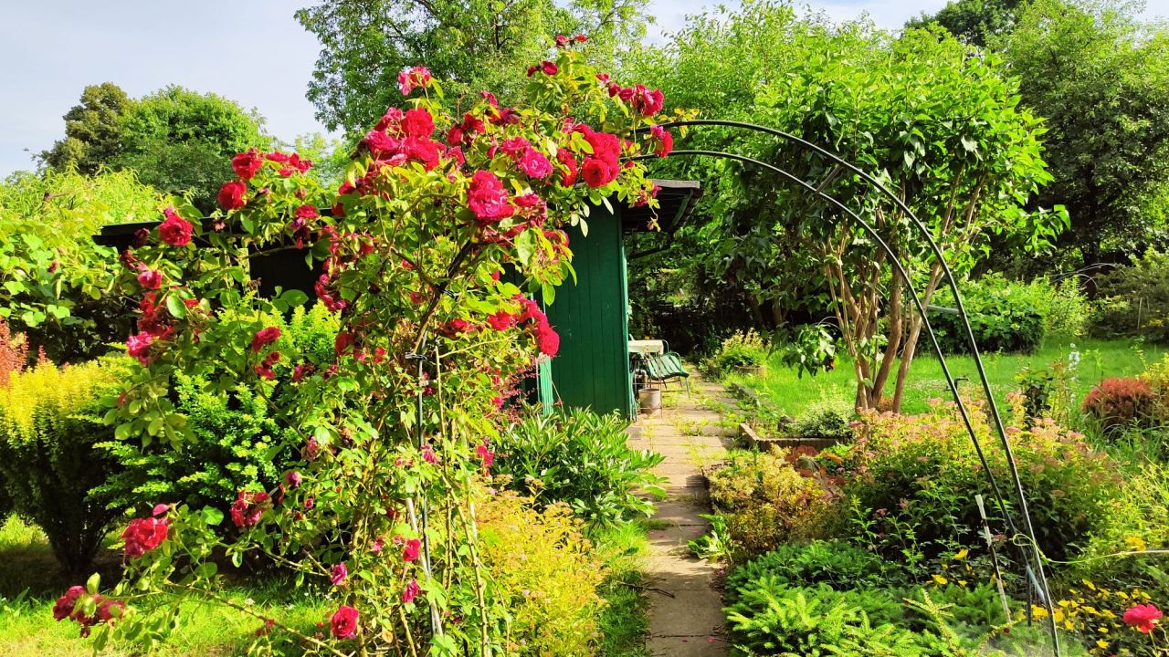 Działka rod Warszawa Siekierki, ul. Santocka. Zdjęcie 4