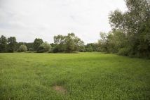 Działka siedliskowa Wola Ładowska. Zdjęcie 3