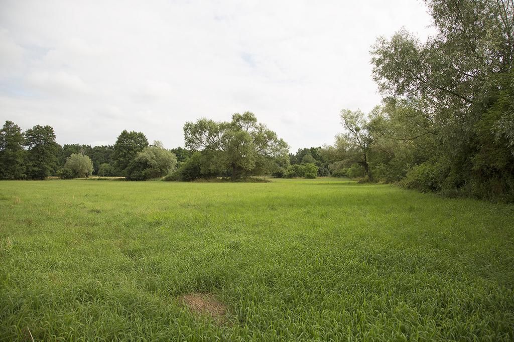 Działka siedliskowa Wola Ładowska. Zdjęcie 4