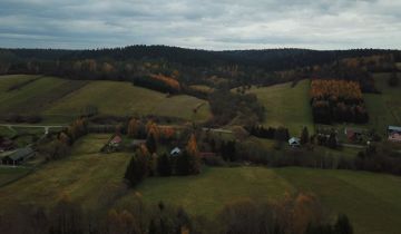 Działka siedliskowa Wojtkówka