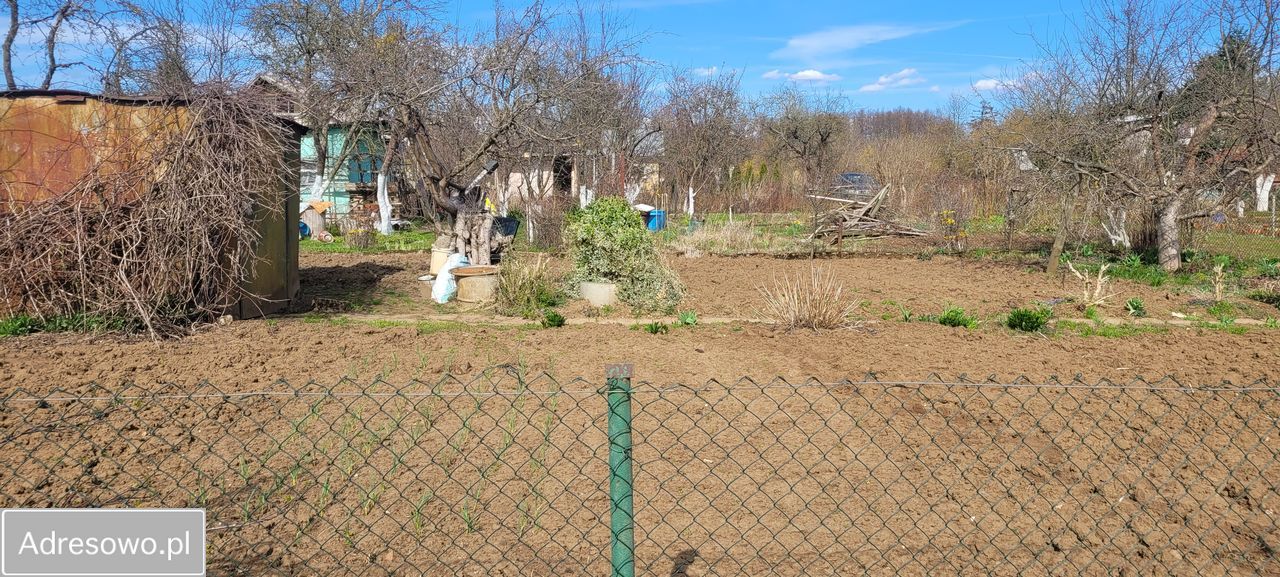 Działka rod Gorzów Wielkopolski Zakanale , ul. Marcina Kasprzaka. Zdjęcie 3