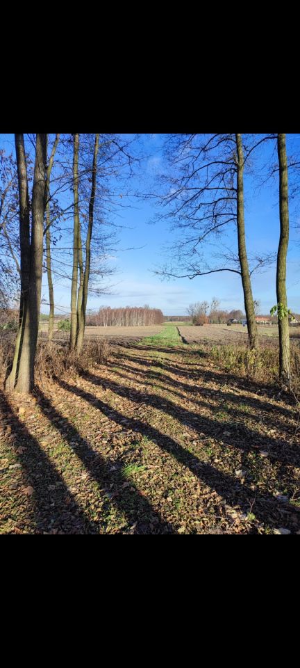 Działka rolno-budowlana Kębliny Kębliny-Olszowiec, Słoneczna. Zdjęcie 3