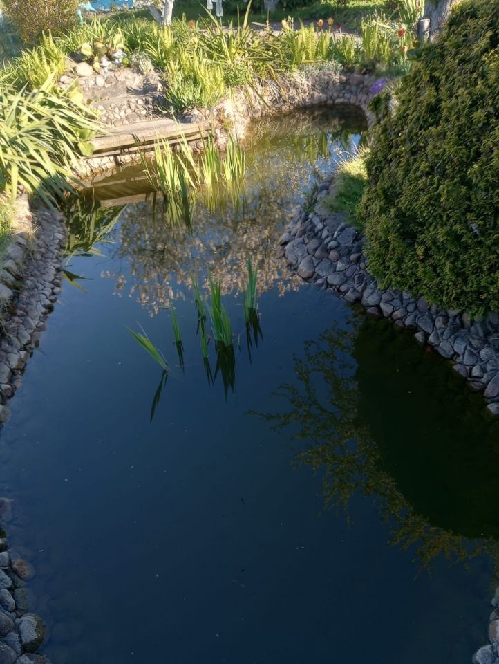 Działka rod Chocianów. Zdjęcie 3