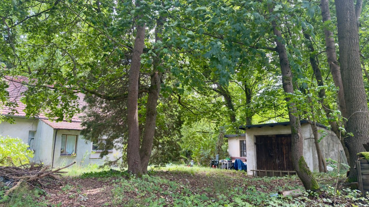 dom wolnostojący Dąbrowa. Zdjęcie 5