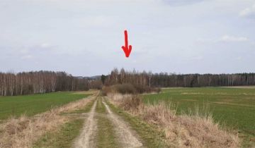 Działka rekreacyjna Zgórze. Zdjęcie 6