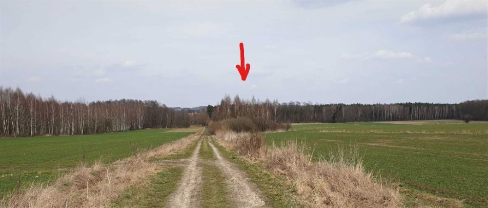 Działka rekreacyjna Zgórze. Zdjęcie 6