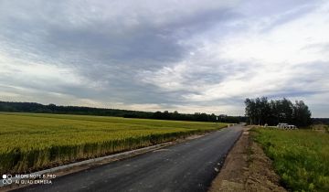 Działka budowlana Milejowice, ul. Polna