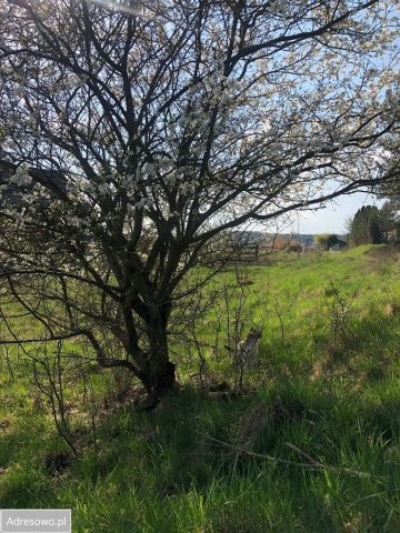 Działka budowlana Łódź Widzew. Zdjęcie 1