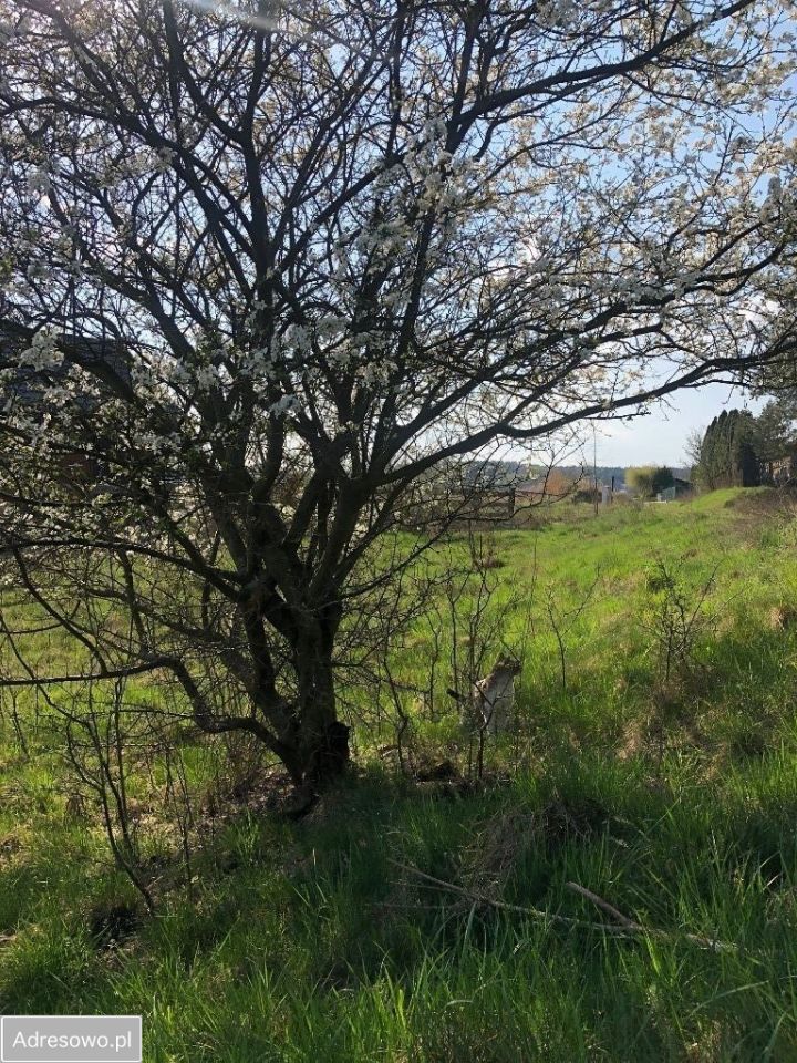 Działka budowlana Łódź Widzew