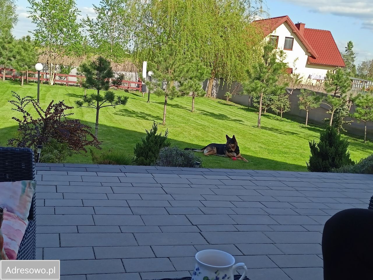 dom wolnostojący, 5 pokoi Seroki-Parcela, ul. Rumiankowa. Zdjęcie 2