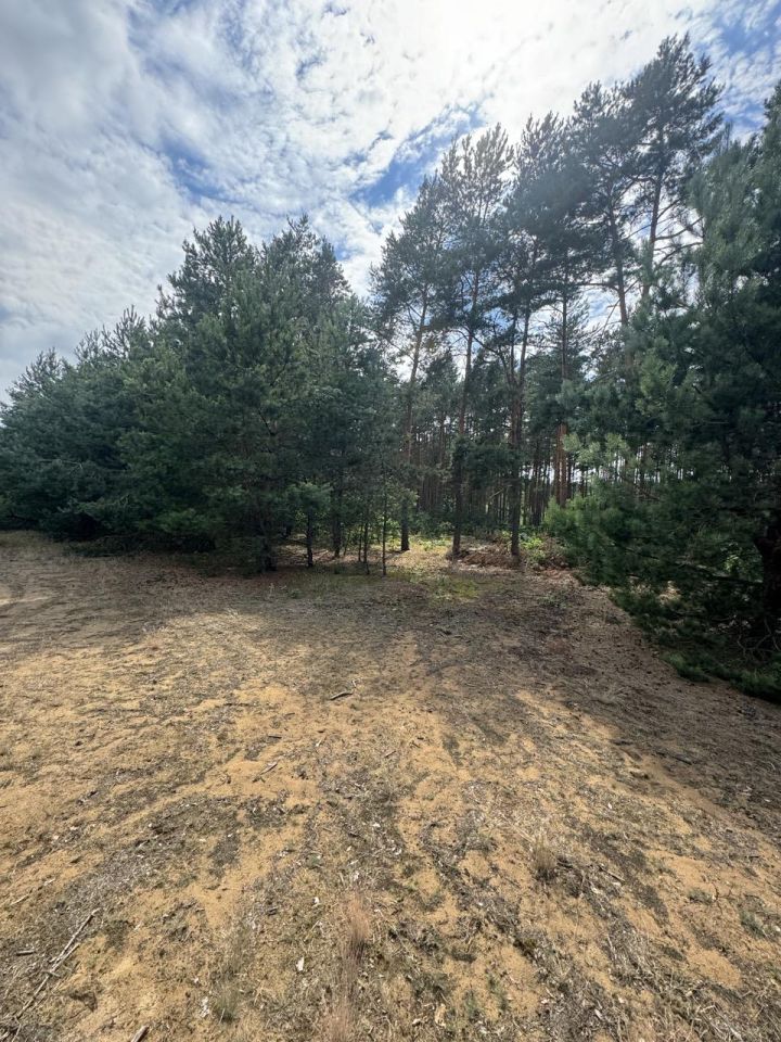 Działka rekreacyjna Przeradowo. Zdjęcie 8