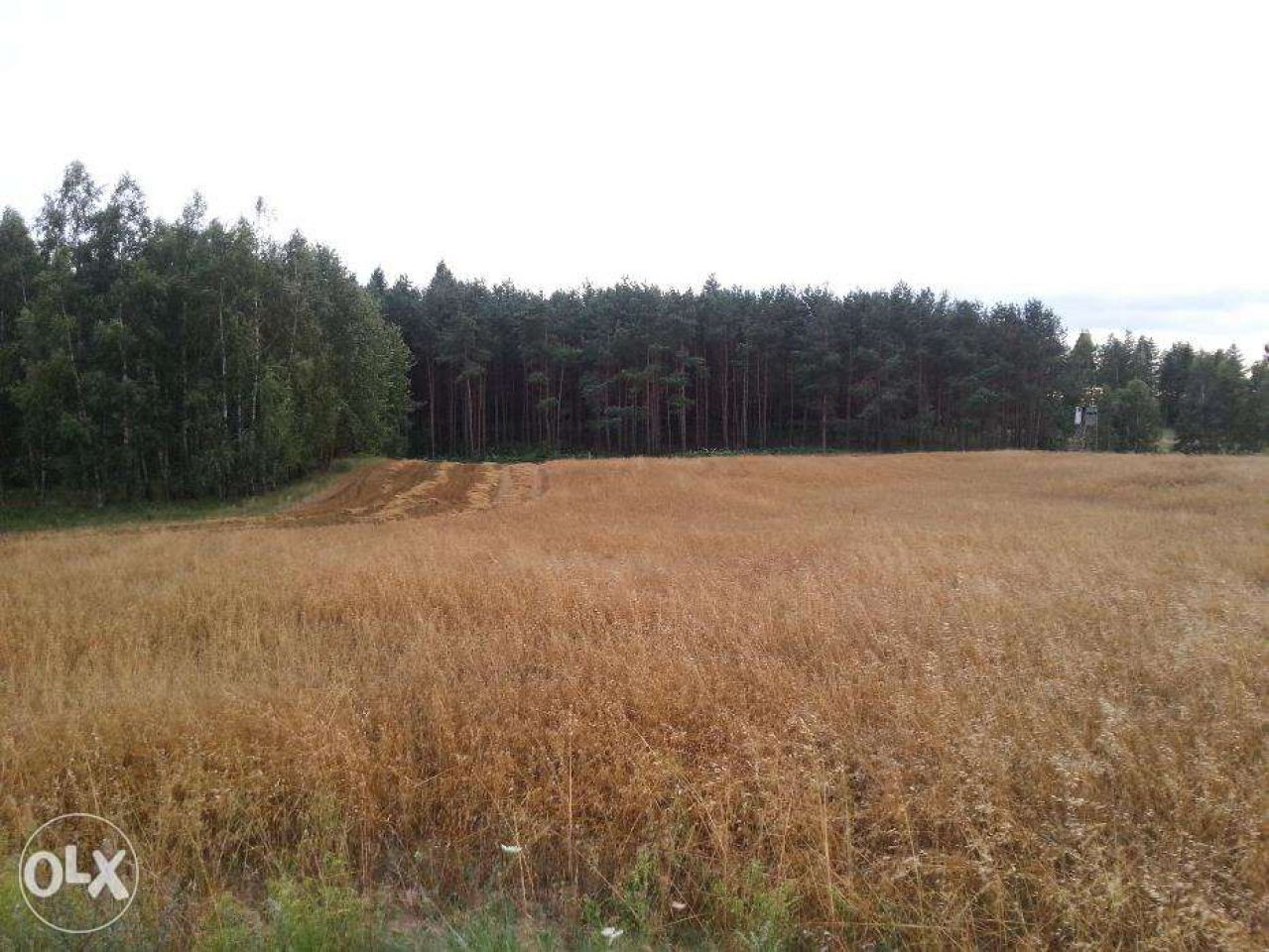 Działka rolna Smętowo Graniczne. Zdjęcie 7