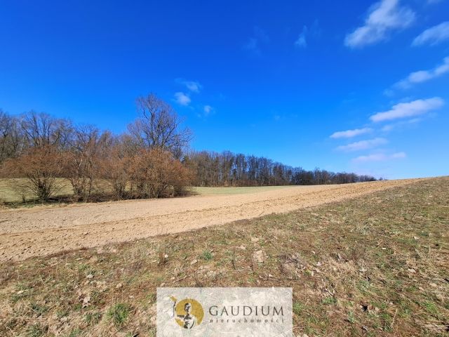 Działka budowlana Kobysewo. Zdjęcie 8