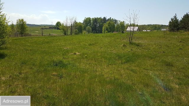 Działka budowlana Dębina. Zdjęcie 1