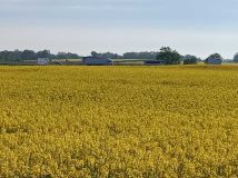 Działka inwestycyjna Jordanów Śląski. Zdjęcie 1