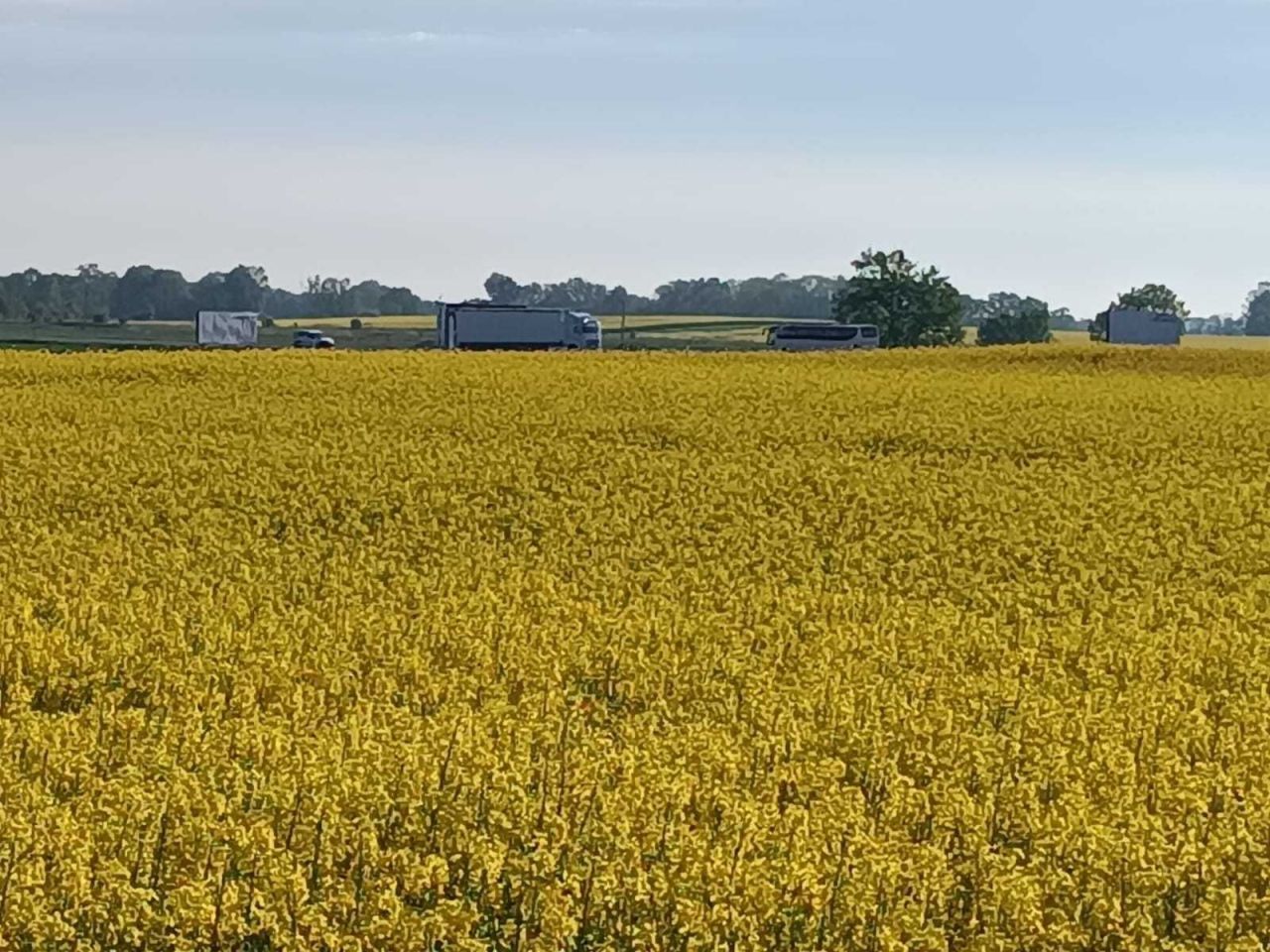 Działka inwestycyjna Jordanów Śląski. Zdjęcie 2