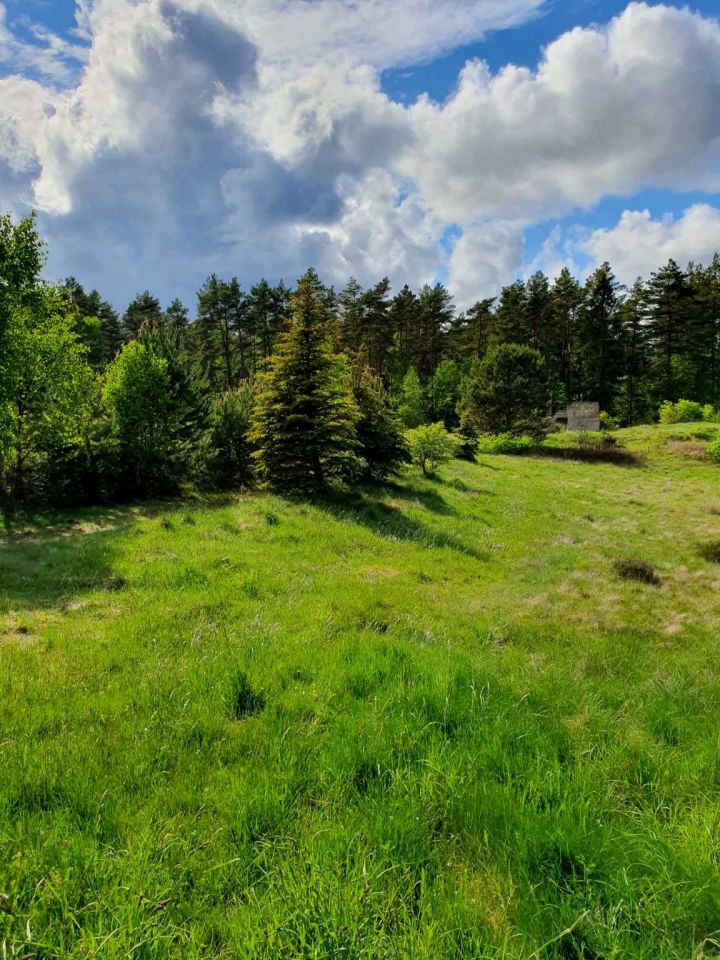 Działka budowlana Leśniewo, ul. Piaskowa. Zdjęcie 6