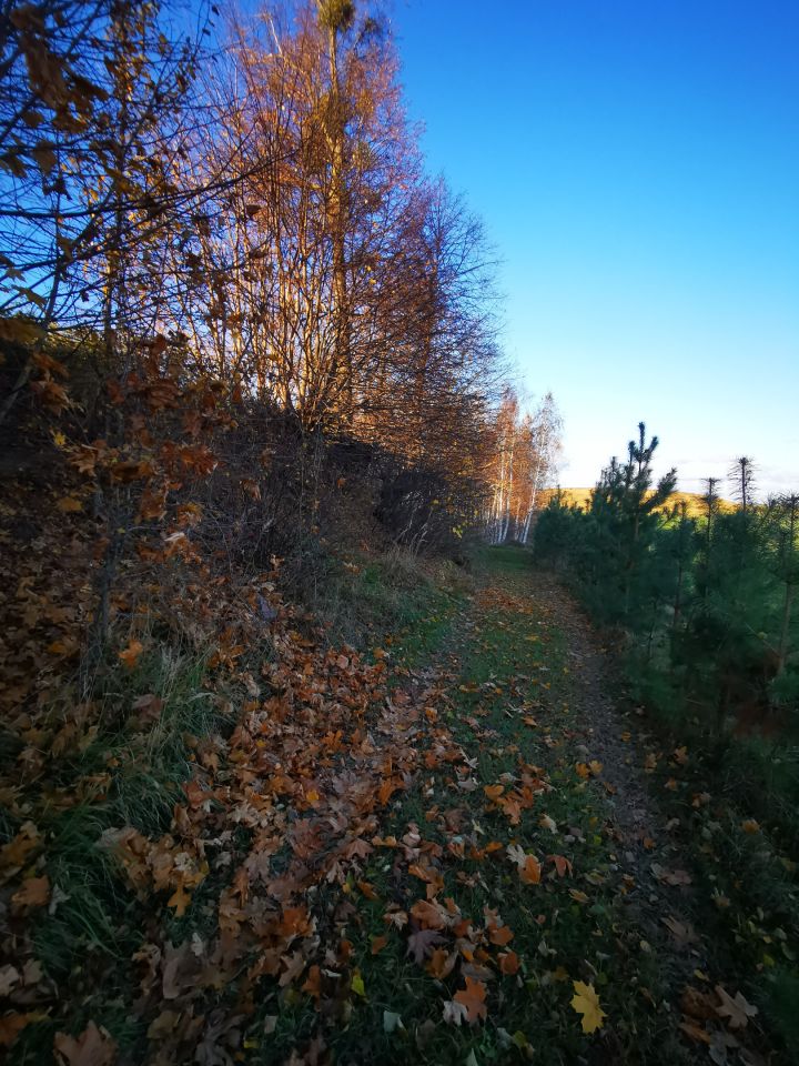Działka budowlana Bisztynek. Zdjęcie 8