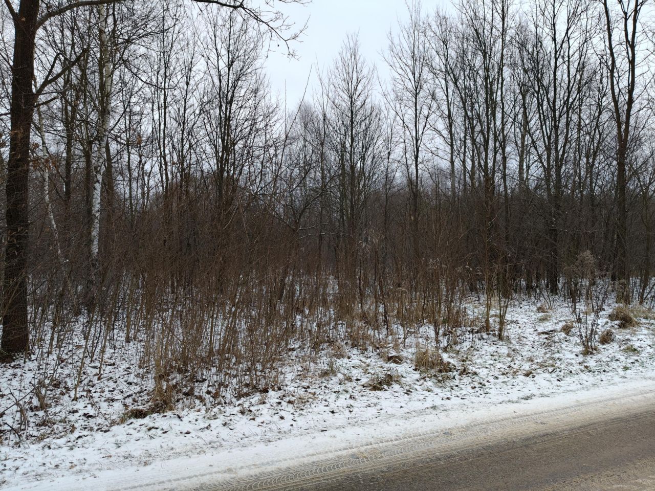 Działka rolno-budowlana Przyłogi Znajoma. Zdjęcie 10