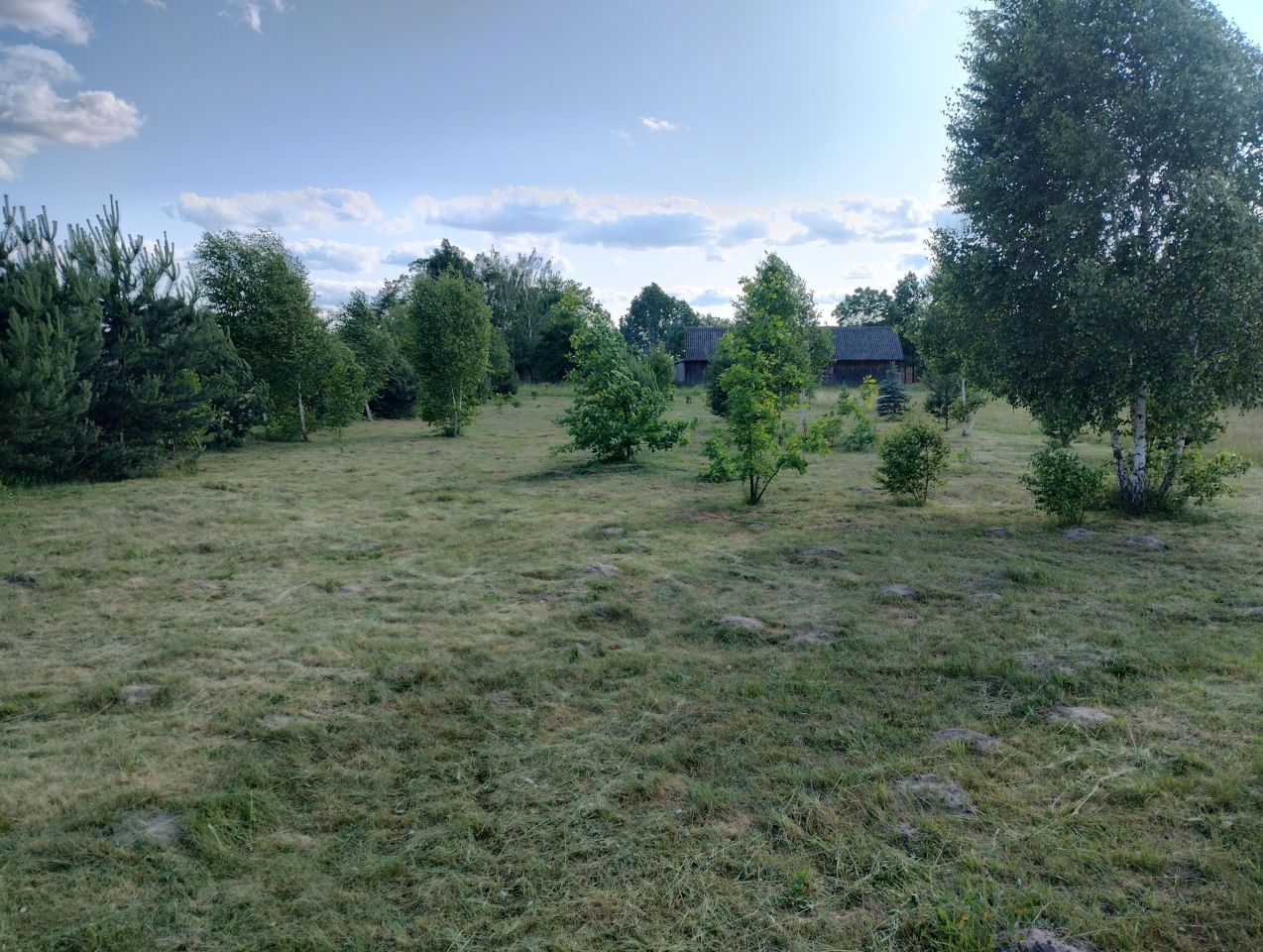 Działka rolno-budowlana Strachówka, ul. Nowa. Zdjęcie 7