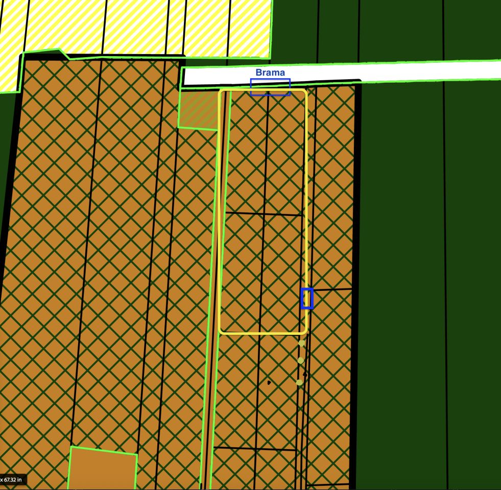 Działka leśna Orła. Zdjęcie 5