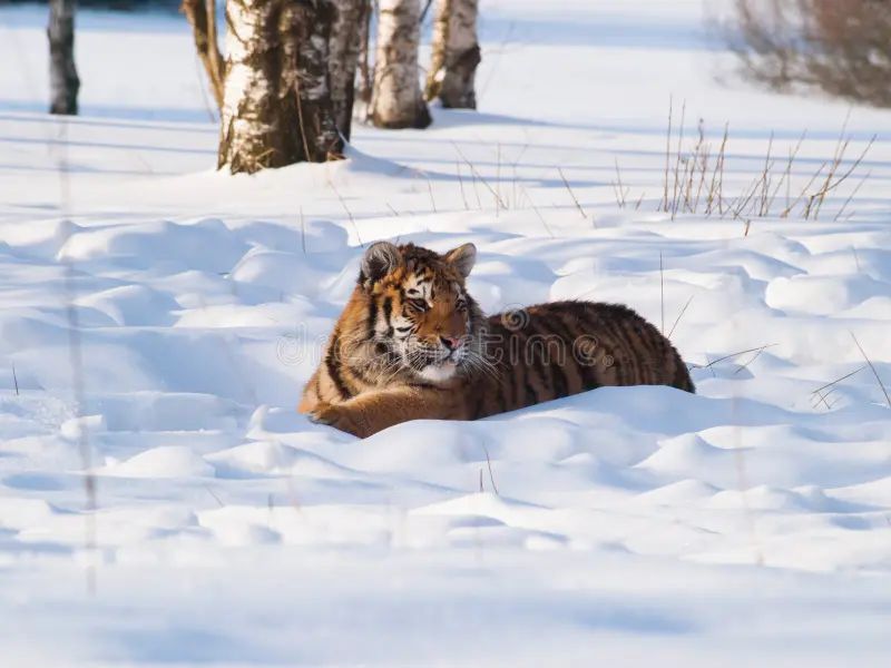 Działka budowlana Trojanowice, ul. Wąwozowa. Zdjęcie 16