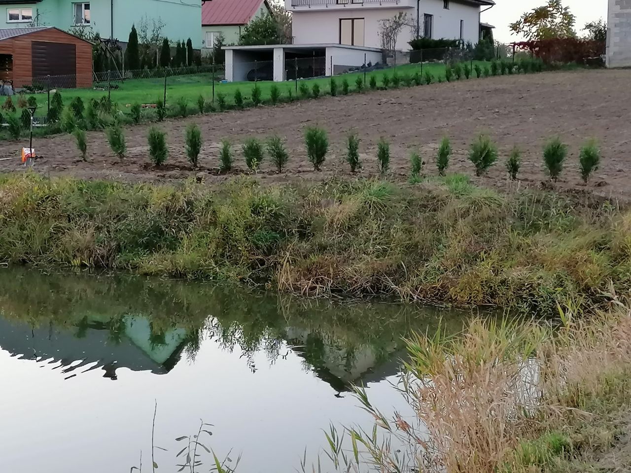 Działka siedliskowa Stara Sucha. Zdjęcie 15