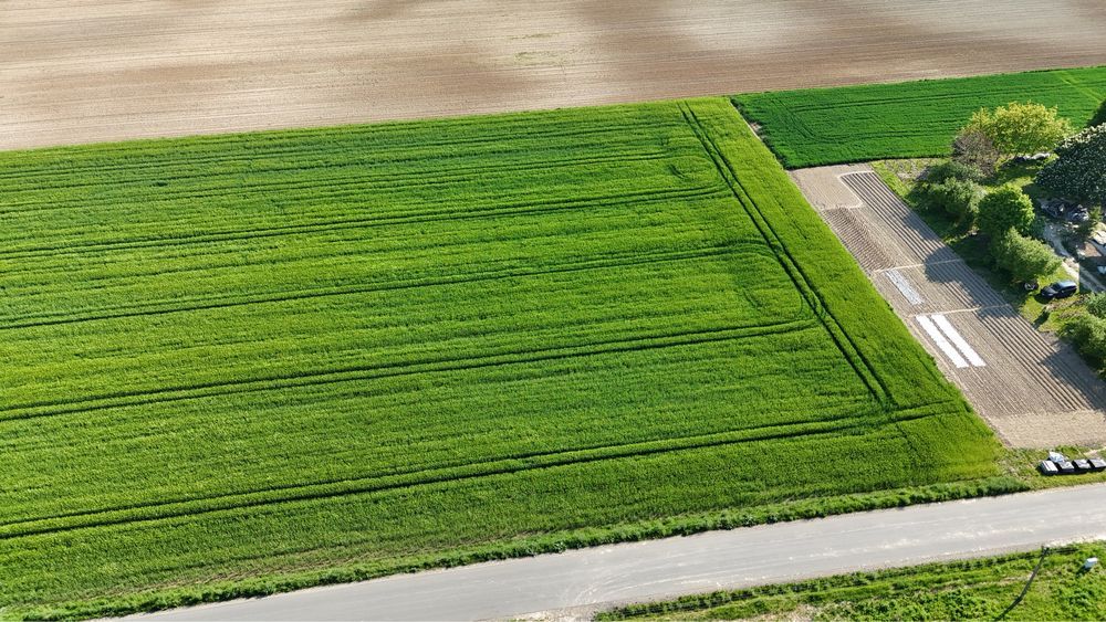 Działka budowlana Kiełczewice Górne. Zdjęcie 4