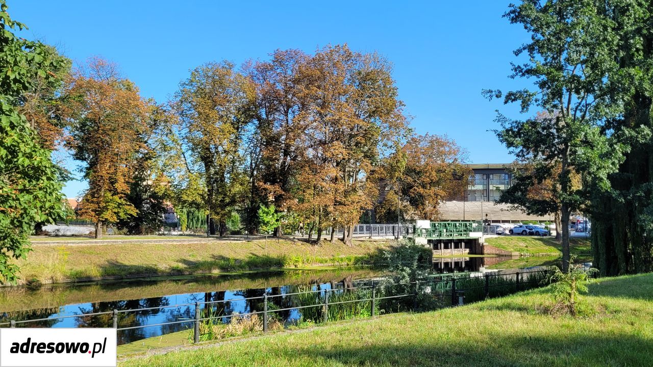 Mieszkanie 2-pokojowe Bydgoszcz Śródmieście. Zdjęcie 10