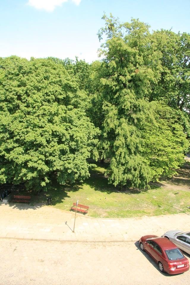 Mieszkanie 1-pokojowe Łódź Śródmieście, ul. Targowa. Zdjęcie 7