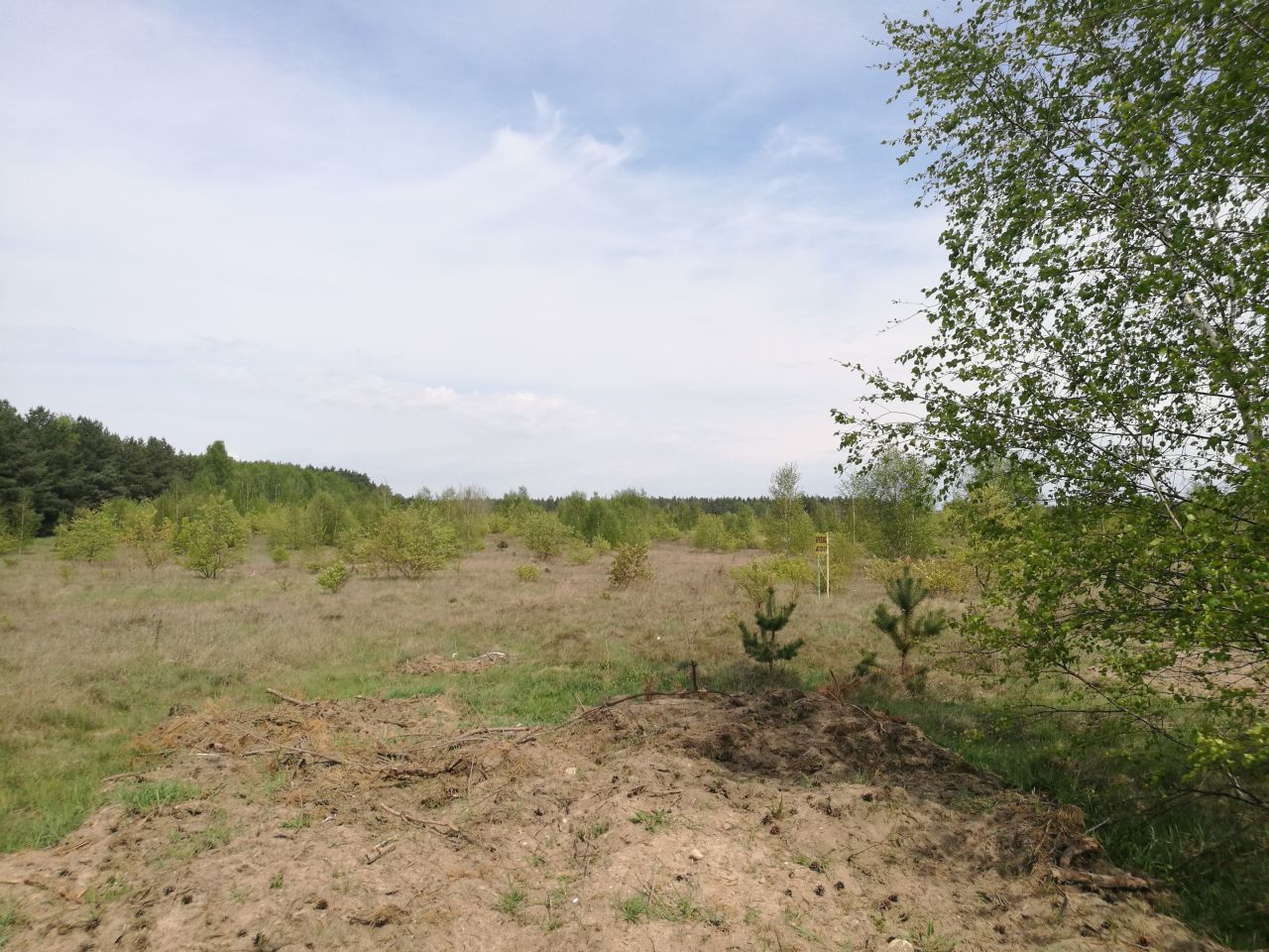 Działka budowlana Skórka. Zdjęcie 7