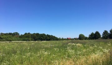 Działka budowlana Święcice